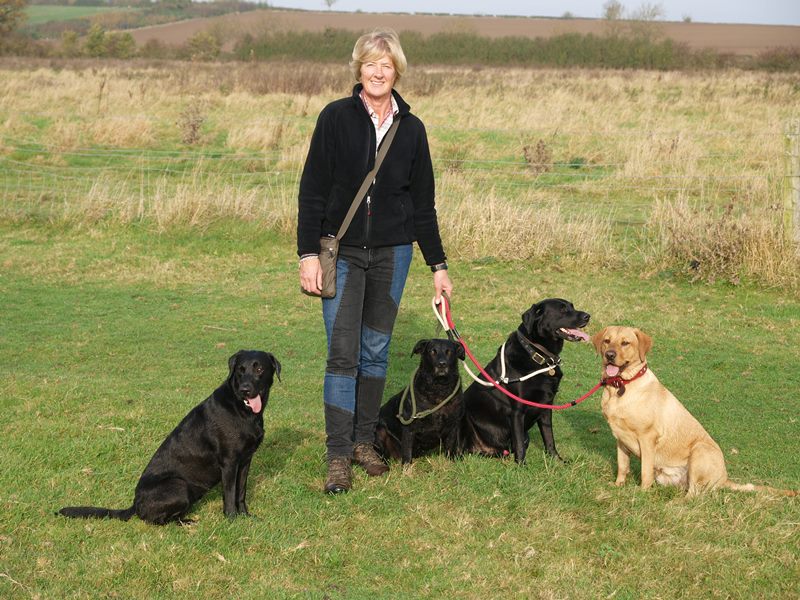Helen and her dogs out walking in Market Harborough